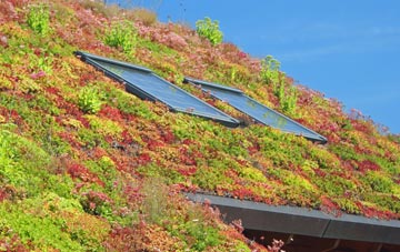 Colebrook living roof systems